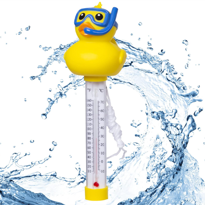 A6450，Swimming Pool Thermometer