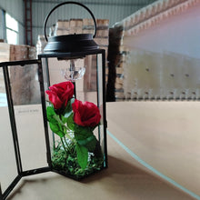 Load image into Gallery viewer, A1087, Lanterns Hanging Light with Rose Flower   &amp;
